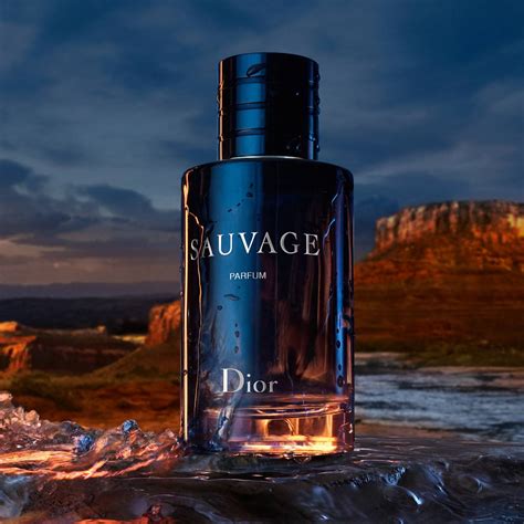 best price for dior sauvage parfum|Dior Sauvage cheapest price 100ml.